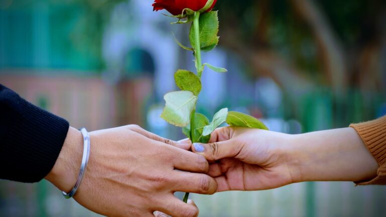 Couple holding a rose, illustrating love bombing signs in early dating