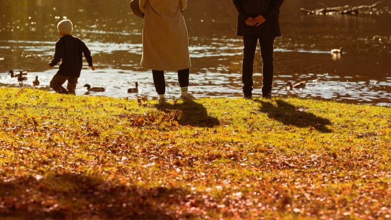 Adults and children enjoying an autumn day by a lake, a typical outing when dating someone with kids