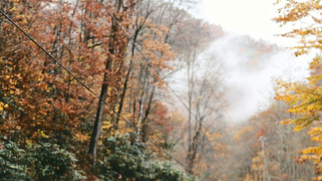 Couple walking together on a tree-lined road, reflecting on age gap relationships